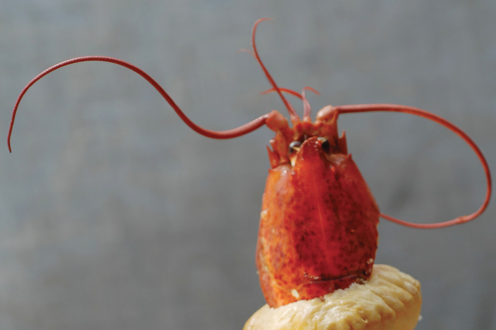 soiree-homard-champagne